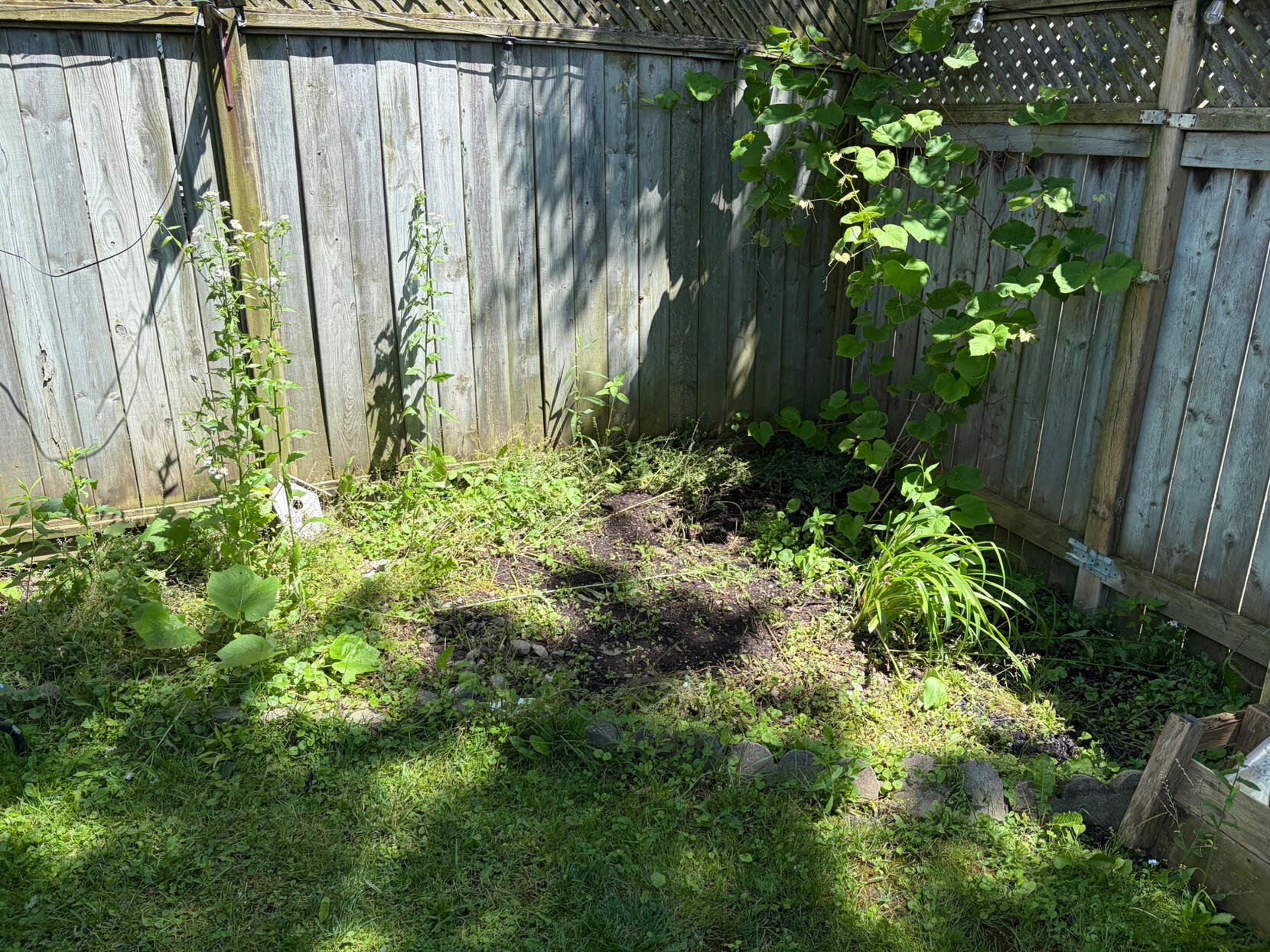 Before